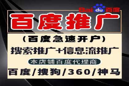 搜索引擎营销（SEM）公司某某的客户成功故事
